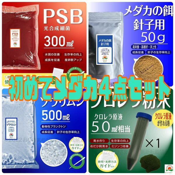 コスパ良い【はじめてメダカ４点セット(PSB300ml餌50gクロレラ粉末50mlゾウリムシ500ml)】めだか卵金魚らんちゅう青水 ミジンコに