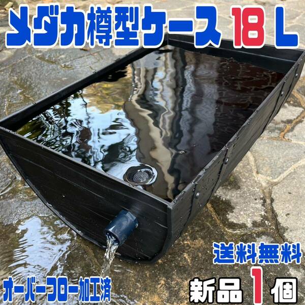 ★メダカ飼育ケース1個 樽型１８Lオーバーフロー加工済★めだか容器産卵撮影ビオトープゾウリムシPSBミジンコ培養針子にどうぞ