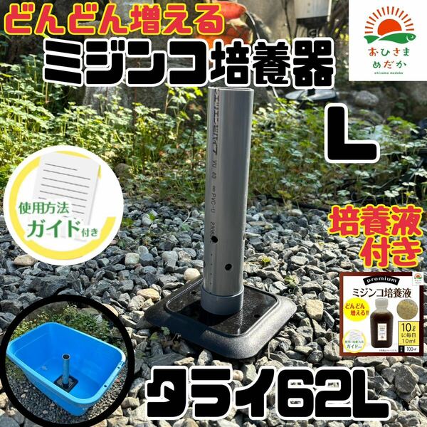 【ミジンコ培養器Lサイズタライ62L】タマミジンコタイリクミジンコオオミジンコ培養器メダカ卵めだか錦鯉金魚熱帯魚稚魚生餌培養液おまけ