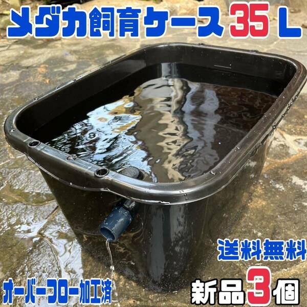 ★メダカ飼育ケース3個 黒35Lオーバーフロー加工済★めだか飼育容器産卵撮影ビオトープゾウリムシPSBミジンコ培養針子にどうぞ