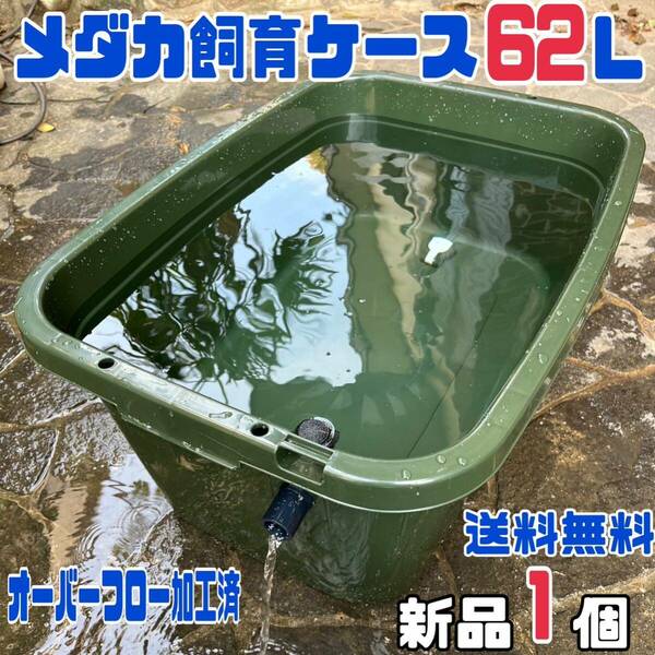 ★メダカ飼育ケース1個 緑62Lオーバーフロー加工済★メダカ飼育容器産卵撮影ビオトープゾウリムシPSBミジンコ培養針子にどうぞ