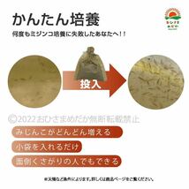 【ミジンコ培養粉100g（10袋分）】めだかエサゾウリムシ 金魚めだかタマミジンコ オオミジンコ タイリクミジンコPSBと生クロレラ併用可_画像2