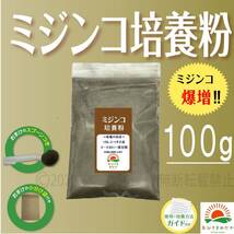 【ミジンコ培養粉100g（10袋分）】めだかエサゾウリムシ 金魚めだかタマミジンコ オオミジンコ タイリクミジンコPSBと生クロレラ併用可_画像1