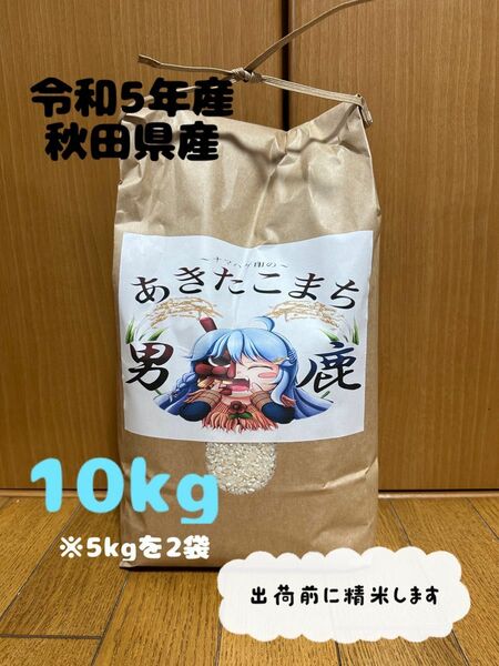 農家直送　令和5年産　秋田県産　あきたこまち　10キロ