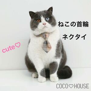  cat. necklace necktie beige 