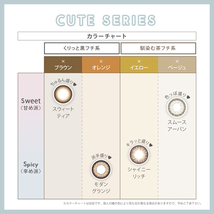 アイジェニック EYE GENIC マンスリー １ヶ月 度あり 1枚入 2箱 14.5mm エバーカラー カラコン カラーコンタクト 新木優子_画像5