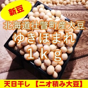 【新豆】令和5年産 北海道壮瞥町産大豆1kg