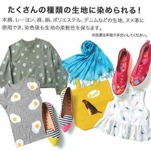 送料300円(税込)■bx960■誠和 繊維・皮革用染料 ファブリエ グリッター レッド 15点【シンオク】の画像5