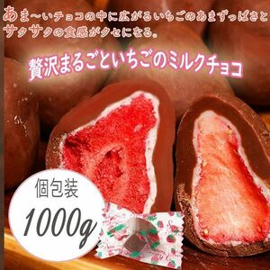 送料300円(税込) ■fm410■◎贅沢まるごといちごのミルクチョコレート　1000g【シンオク】