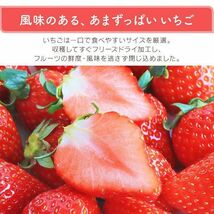 送料300円(税込)■fm412■◎贅沢まるごといちごのチョコレート ティラミス 1kg【シンオク】_画像2