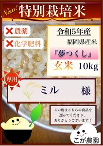 ミル様専用　福岡県産「夢つくし」令和５年産　玄米10kg 