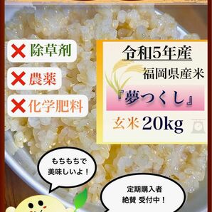 準自然米　福岡県産「夢つくし」令和５年産　玄米20kg 発芽玄米におすすめ