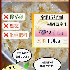 準自然米　福岡県産「夢つくし」令和５年産　玄米10kg 発芽玄米におすすめ