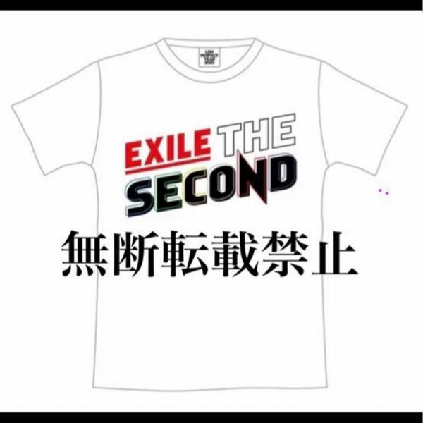 EXILE THE SECOND PERFECT LIVE 2012 > 2020 ロゴ Tシャツ Lサイズ