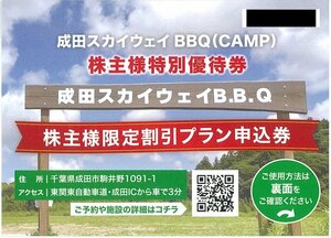 甲南☆シー・ヴイ・エス・ベイエリア☆成田スカイウェイB.B.Q☆株主様限定割引プラン申込券☆2024.5月末日【管理7309】