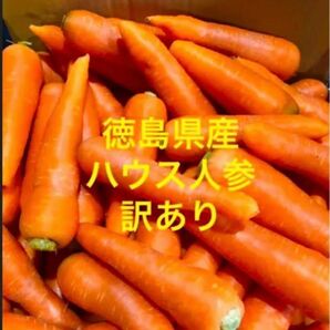 徳島産　春人参　訳あり　箱込み5kg 