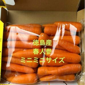 徳島産　春人参　ミニミニサイズ　お試しパック