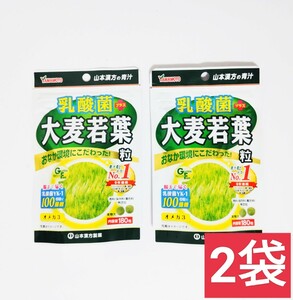 山本漢方製薬 乳酸菌プラス大麦若葉粒 180粒　2袋