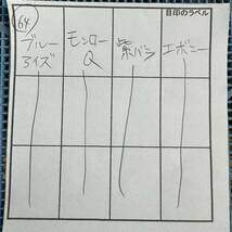 64 エケベリア 【今回でラスト】4品種12株セット【画像4枚目に品種名】【根付き トレーごと発送】【群生 特大】【多肉植物 観葉植物】_画像4