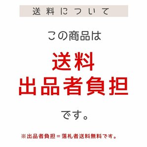 ♪1円スタート送料無料 美容技術者用 ヘアケア用品など 大量47点セット デミ コスメティクス ハレマオ シャンプー ユント フローディアの画像5