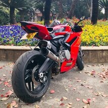 Panigale リア テールライト ブレーキ ターンシグナル 内蔵 LED ライト_画像5