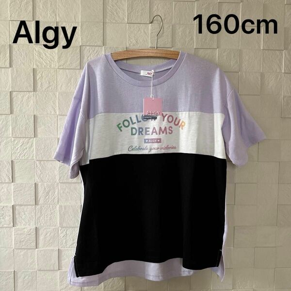 ALGY アルジー　半袖Tシャツ Mサイズ 150〜160cm