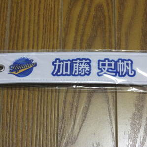 【送料無料・匿名配送】日向坂46　5回目のひな誕祭　ガチャガチャ　ネームタグキーホルダー　加藤 史帆