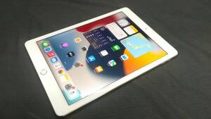 au Apple iPad Air 2 Wi-Fi+Cellular 16GB A1567(MGH72J/A)判定〇/シルバー/動作品/難あり/ジャンク扱い 