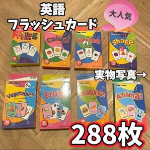 見やすいわかりやすい　英語フラッシュカード 288枚セット 大容量 教材 ゲーム　モンテッソーリ　知育玩具　キッズ　英会話