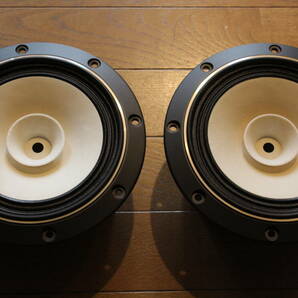 FOSTEX FE163Eｎ-S（ペア）の画像3