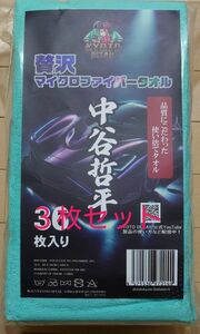 哲平タオル　京都ディテール　新品　３枚セット