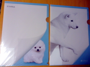 Померанские собаки неиспользованные Softbank Dad Clear File 2 Set Softbank