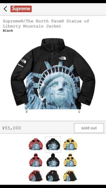 【Sサイズ】美品 2019 aw week10supreme the north face statue mountain jacket NP619021 ブラック 自由の女神 マウンテンパーカー