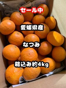 セール　愛媛県産　なつみ　箱込み約4㎏　柑橘　ミカン