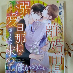 4月新刊◆入籍前にフラれたはずが、離婚前提の溺愛旦那様が激しく私を求めてきます！？◆西條六花☆ルネッタブックスの画像1