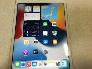 ipad mini4 A1550 Wi-Fi + Cellular 判定○ DOCOMO ドコモ 128GB MK782J/A