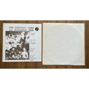 2枚組 LP 2LP US盤 米盤 レコード Led Zeppelin / Live On Blueberry Hill 30/31 レッドツェッペリン ライブ LAフォーラムの画像3