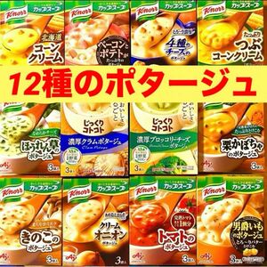 【12種のポタージュ】 クノール　じっくりコトコト　カップスープ　12箱分(36食) ★個包装のみ発送★