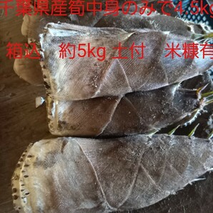 千葉県 たけのこ タケノコ 筍 中身のみで約4.5kg 米糠付 箱込みで約5kg 堀り立て やや訳有 即決有 送料無料 の画像1