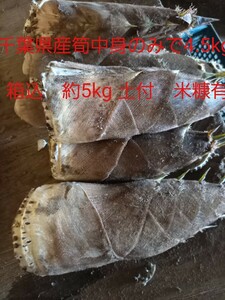 千葉県　たけのこ　タケノコ　筍　中身のみで約4.5kg 米糠付　箱込みで約5kg　堀り立て　やや訳有　即決有　送料無料　