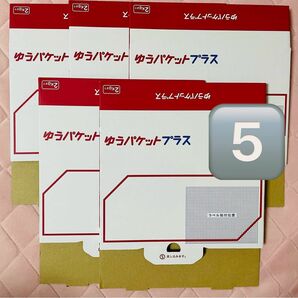 【未使用品】ゆうパケットプラス専用箱 ５点 資材梱包