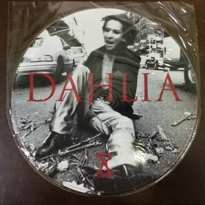 希少 X JAPAN DAHLIA 初回限定盤 AMJM-4075 LPレコード 初のアナログ盤 両面ピクチャーレコード仕様の画像4