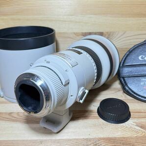 Canon EF 300mm F2.8 L USMの画像5