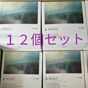 エヌ オーガニック N organic & WOLF UV セラムリキッドファンデーション UF-002 ライトベージュ