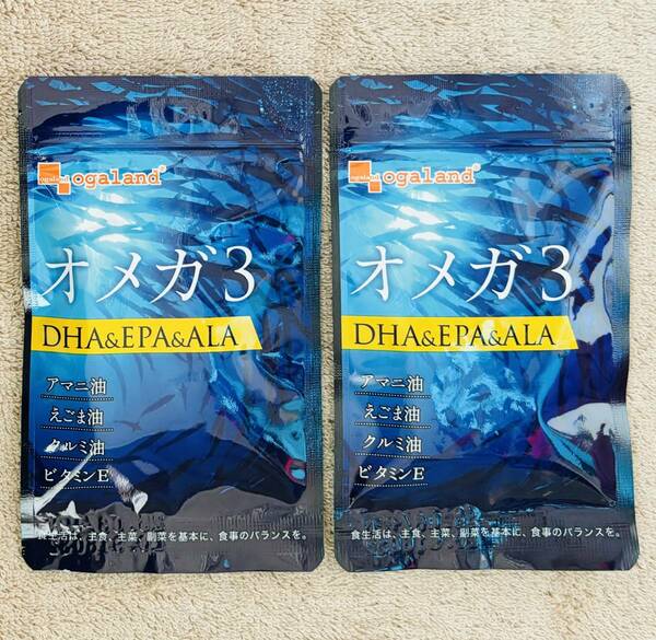 【送料無料】オメガ3 DHA&EPA 約2ヶ月分(30カプセル入×2袋) α-リノレン酸 アマニ油 えごま油 クルミ油　サプリメント　オーガランド