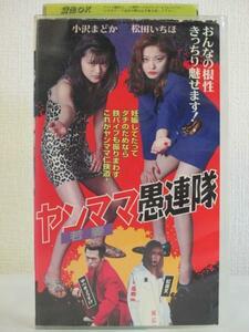 送料無料★10660★ヤンママ愚連隊 主演：小沢まどか 松田いちほ [VHS]