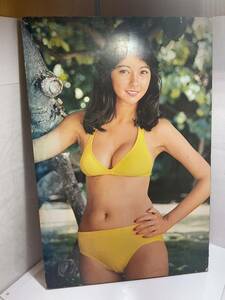 3/当時物 90cm×60cm アグネス ラム 木製パネル ポスター アイドル 水着 グラビア 昭和アイドル 詳細不明