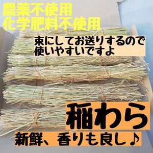 【新鮮で良質】農薬不使用 無化学肥料 除草剤不使用 稲藁 稲わら わら 藁