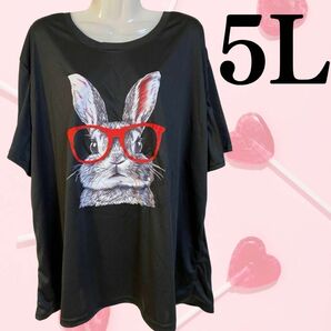 レディース 春 夏 Tシャツ 5L プリント 大きいサイズ 黒 うさぎ かわいい プリント ブラック