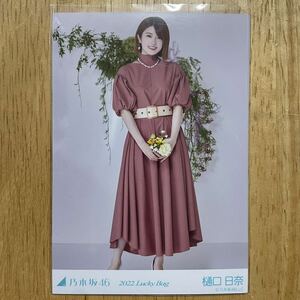 乃木坂46 樋口日奈 カレンダー衣装 生写真 ヒキ 1枚 検) web 限定 福袋 2022.Lucky Bag